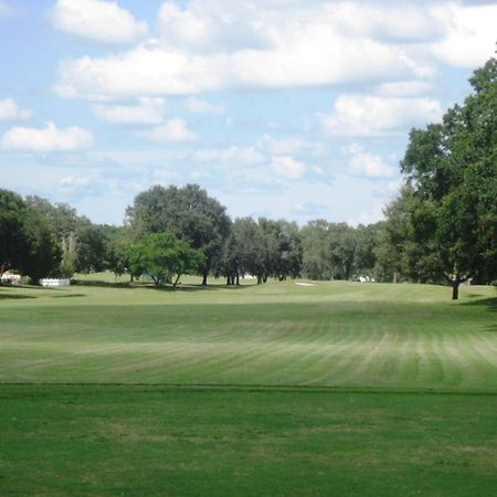 House Near Tampa Zoo And Busch Gardens, Free High Speed Wifi Villa Buitenkant foto