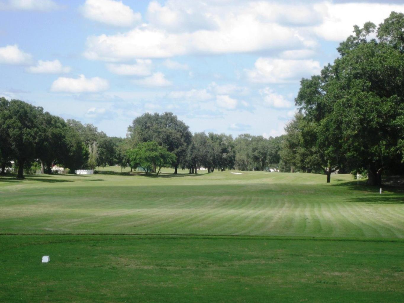 House Near Tampa Zoo And Busch Gardens, Free High Speed Wifi Villa Buitenkant foto