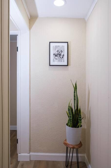 House Near Tampa Zoo And Busch Gardens, Free High Speed Wifi Villa Buitenkant foto